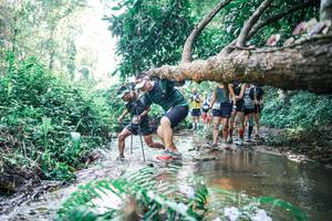 BIB: 
                            <button type="button" onclick="openModal(25449594)" class="btn btn-primary btn-sm float-right btn-popup" data-toggle="modal" data-target=".modal-high-quality">
                        <i class="fas fa-shopping-cart"></i> Add to Cart
                    </button>
                                            <button type="button" onclick="isThisMe(25449594, true)" class="btn btn-success btn-sm float-right btn-popup btn-isme hidden" data-toggle="tooltip" data-placement="bottom" title="นี่คือรูปของคุณใช่ไหม คลิกที่นี่เพื่อเอาเข้าอัลบั้ม">
                        <i class="fas fa-plus"></i> Add to album
                    </button>
                    <button type="button" onclick="isThisMe(25449594, false)" class="btn btn-warning btn-sm float-right btn-popup btn-isnotme hidden">
                        <i class="fas fa-ban"></i> Remove from album
                    </button>